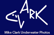 Mike Clark - Website